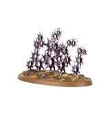 Warhammer Age of Sigmar 83-112, Regiment of Renown: The Accursed Reflection