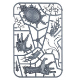 Warhammer Age of Sigmar 83-112, Regiment of Renown: The Accursed Reflection