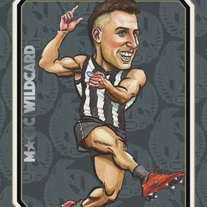 All AFL Footy Cards