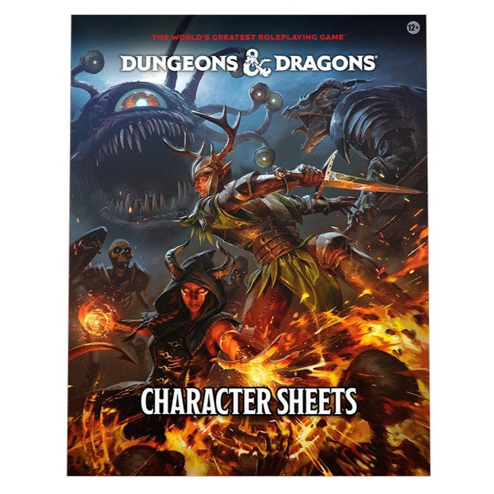 D&D Dungeons & Dragons Character Sheets (2024)