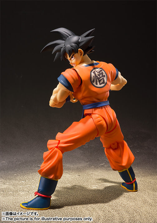 S.H.FIGUARTS Goku A Saiyan Raised On Earth (Repeat)
