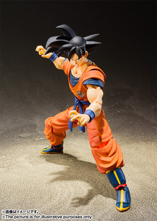 S.H.FIGUARTS Goku A Saiyan Raised On Earth (Repeat)