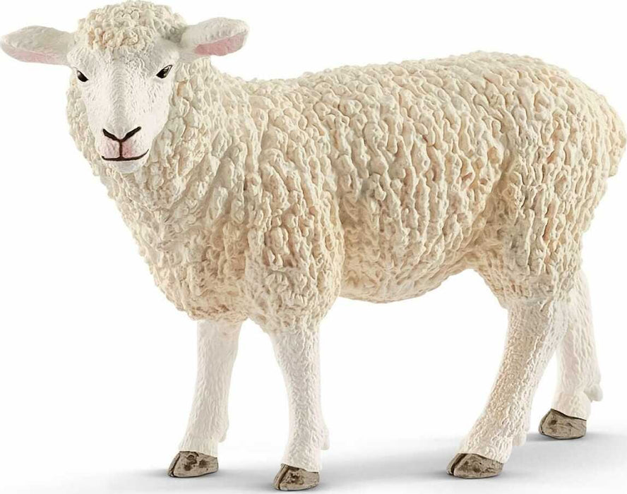 Schleich Sheep