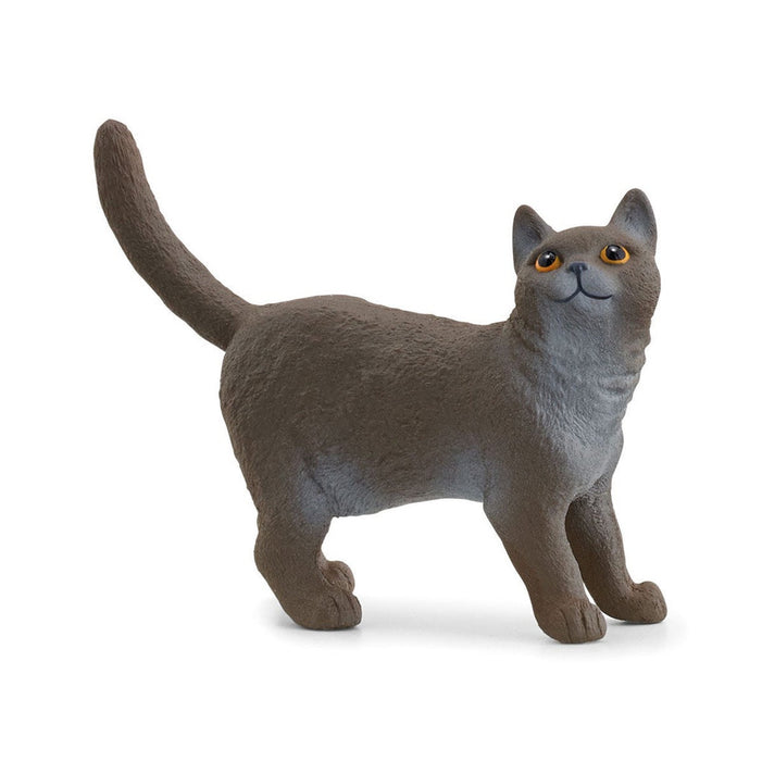 Schleich British Short Hair Cat