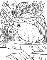 Practical Magic: The Motion Picture: The Official Coloring Book