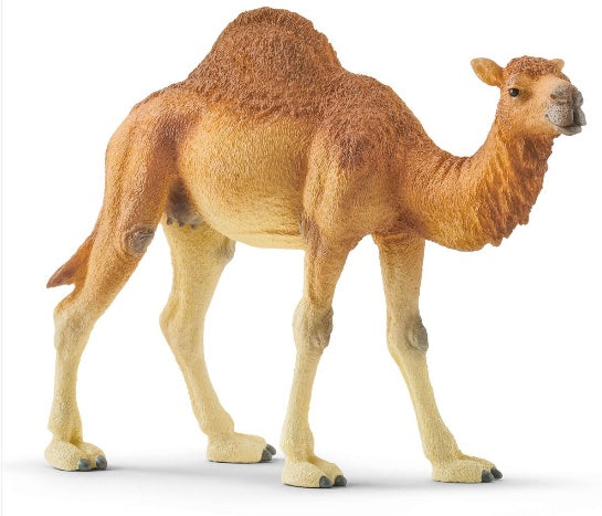 Schleich  Dromedary