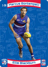 Bontempelli, Blackburn, 3D Icons, 2021 Teamcoach AFL