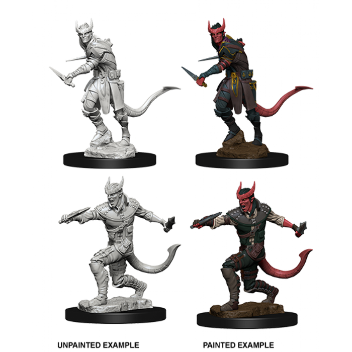 D&D Nolzurs Marvelous Unpainted Miniatures Tiefling Male Rogue