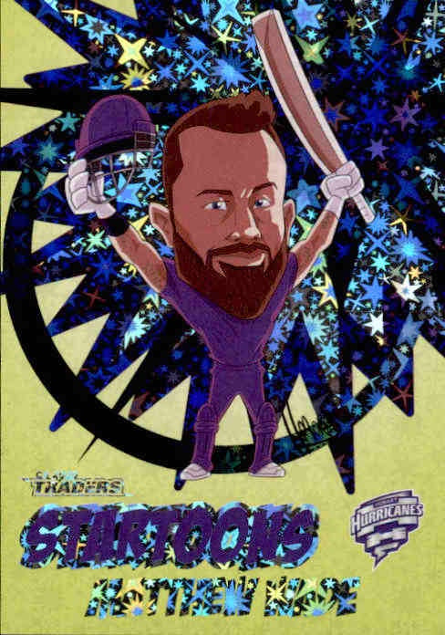 Matthew Wade, Green Startoons, 2020-21 TLA Cricket Australia and BBL