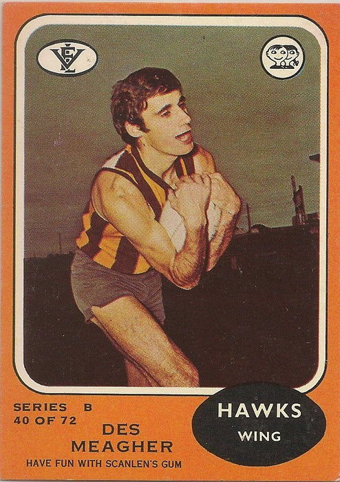 1973 Scanlens VFL Series B, Des Meagher