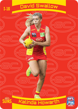 Swallow, Howarth, 3D Icons, 2021 Teamcoach AFL