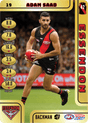 Adam Saad, Gold, 2018 Teamcoach AFL
