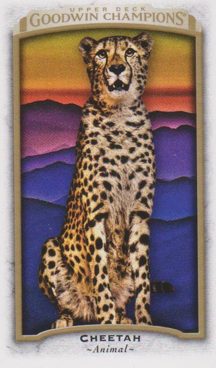 Cheetah, Mini, 2017 Upper Deck Goodwin Champions