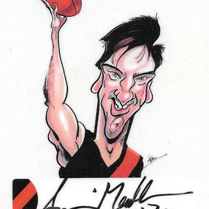 HarvTime Signature Series Cards