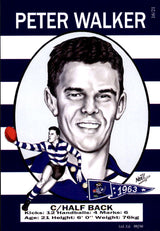 Geelong Cats 1963 Premiers Card Set by Noel