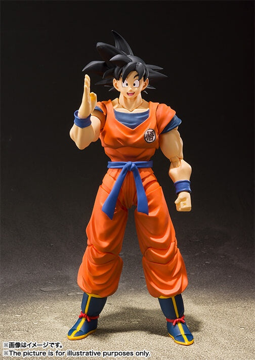 S.H.FIGUARTS Goku A Saiyan Raised On Earth (Repeat)