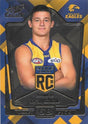 Hamish Brayshaw, Rookies RC, 2018 Select AFL Legacy